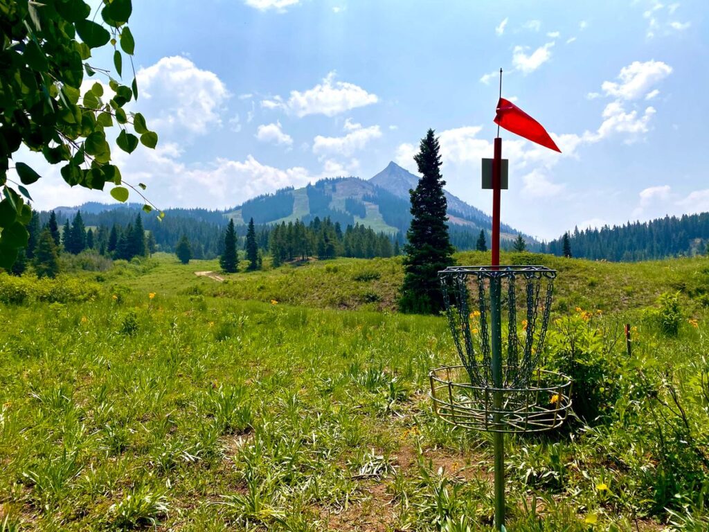 Disc Golf Courses